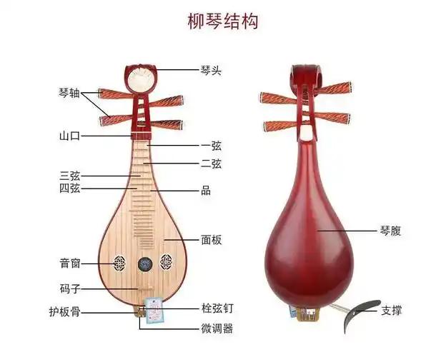 《弹起我心爱的土琵琶》中的土琵琶究竟是什么?