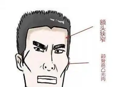 面相识人术额头窄小的真命苦吗