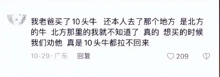爸妈学会网购之后能买回来多么离谱的东西你看完也得哈哈大笑