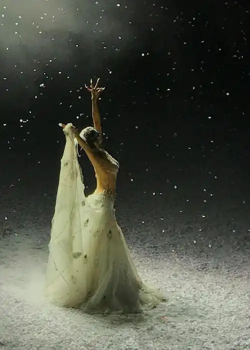 杨丽萍孔雀之冬舞剧剧照