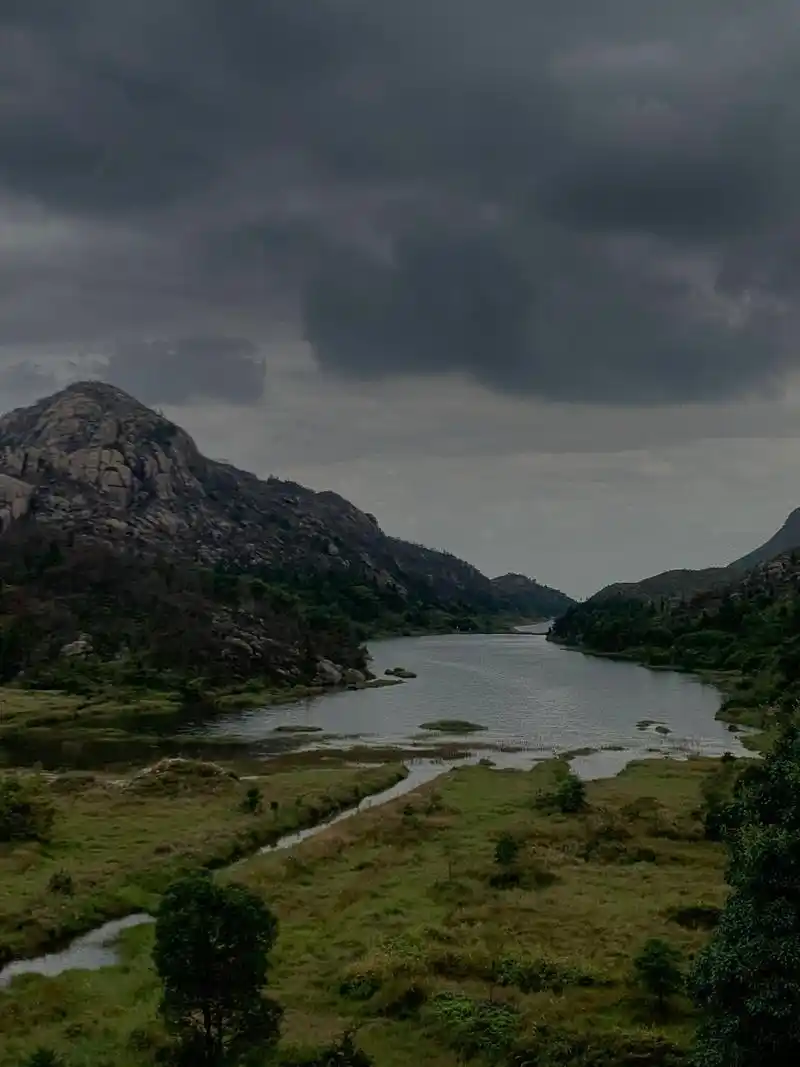 大罗山秀垟水库/随性周末 感受旷野 live图 直接定位到秀垟水库 有