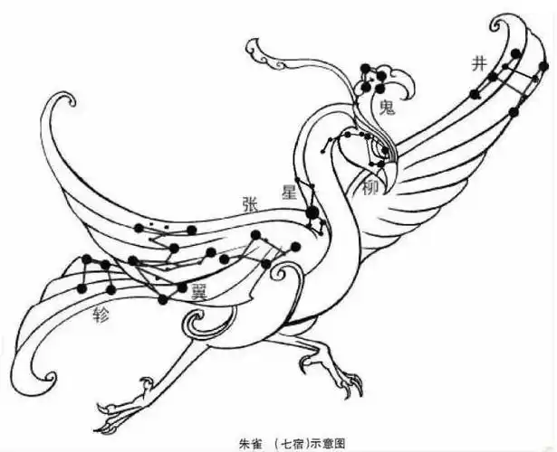 凤凰朱雀火鸟金翅大鹏鸟这些神兽有什么不同那个更厉害