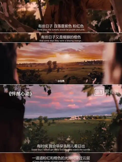 斯人若彩虹遇上方知有