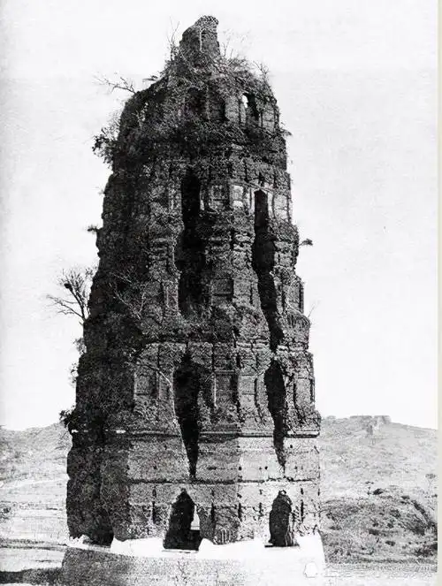 雷峰塔找到的白蛇是什么蛇 雷峰塔长什么样子,里面有没有白蛇