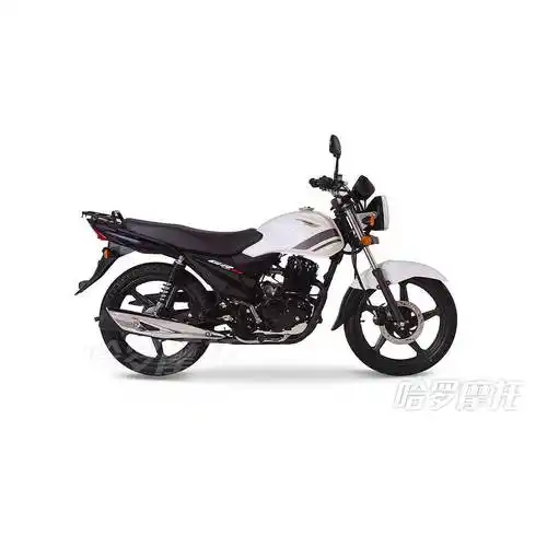 2019款济南铃木qs150悍俊复古版