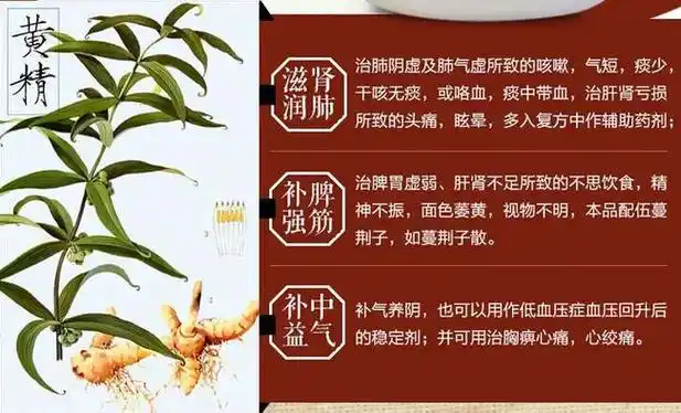 黄精药材有什么功效黄精不能和什么一起吃