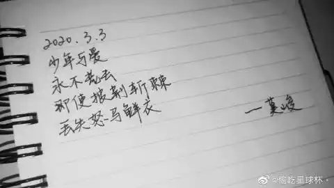 04 查看更多 a 微关系 她的关注(119) 失眠少女西西里 动物园邓园长