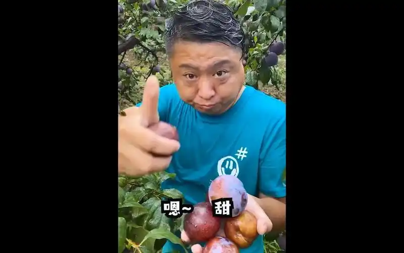 伴你开心都问我黑布林大李子甜不甜甜