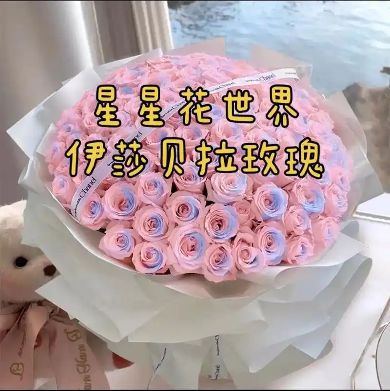 玫瑰花.星星花世界伊莎贝拉的花语:是对你9215承诺伊莎贝 - 抖音