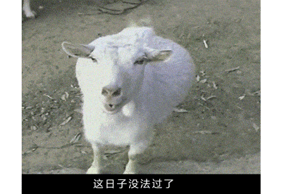 400_276gif 动态图 动图