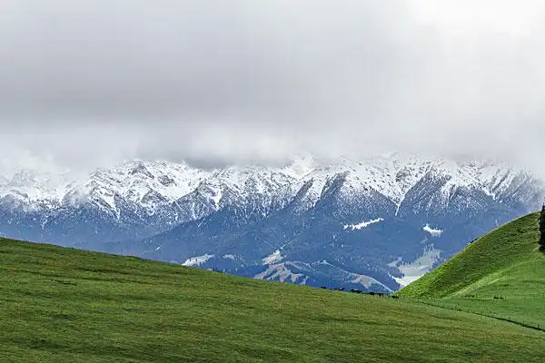 天山草原图片_图片大全