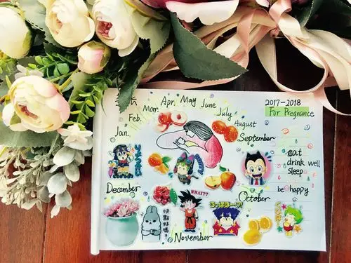 我的六本手帐手绘封面