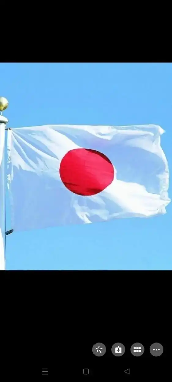 1777年6月14日正式 1/1 使用的美国国旗 10:06 - 抖音