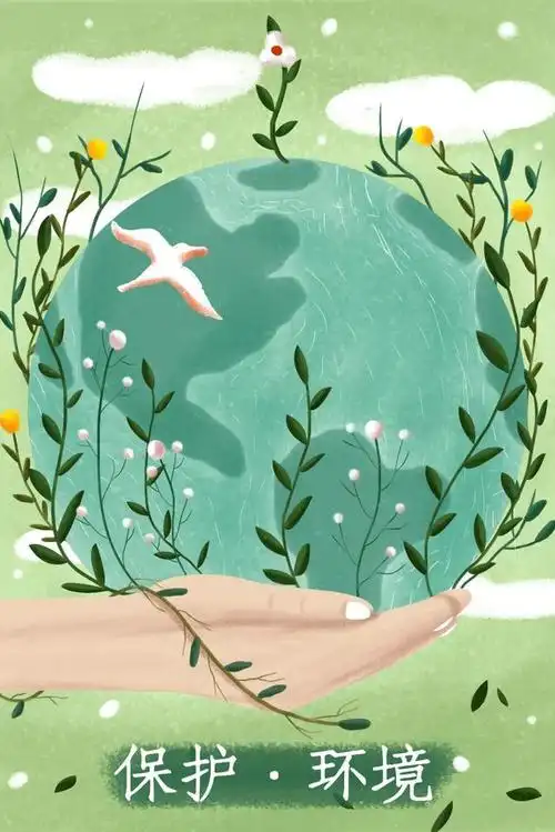 环境保护不仅是一个人或者一个企业的社会责任问题,更是全球范围的大