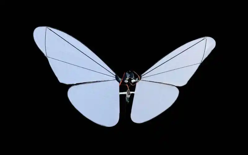 【自制】我做了一只真的可以飞的仿生蝴蝶-童邪-默认收藏夹-哔哩哔哩