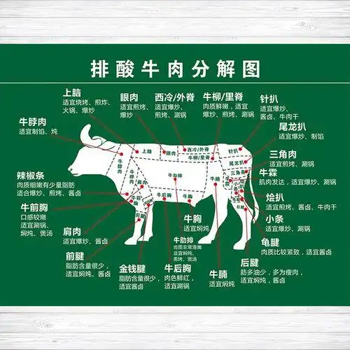 牛肉分割图及名称图片(羊肉分割图及名称图片)