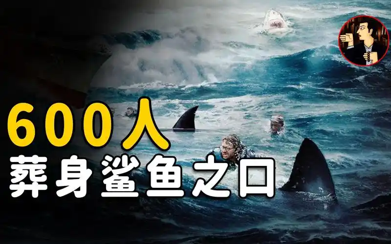 历史上最大规模鲨鱼吃人事件,1195人只有316人生还 | 奇闻观察室