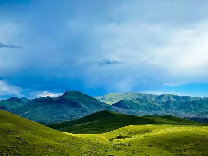 甘南甘加草原上呈现的四重绿色