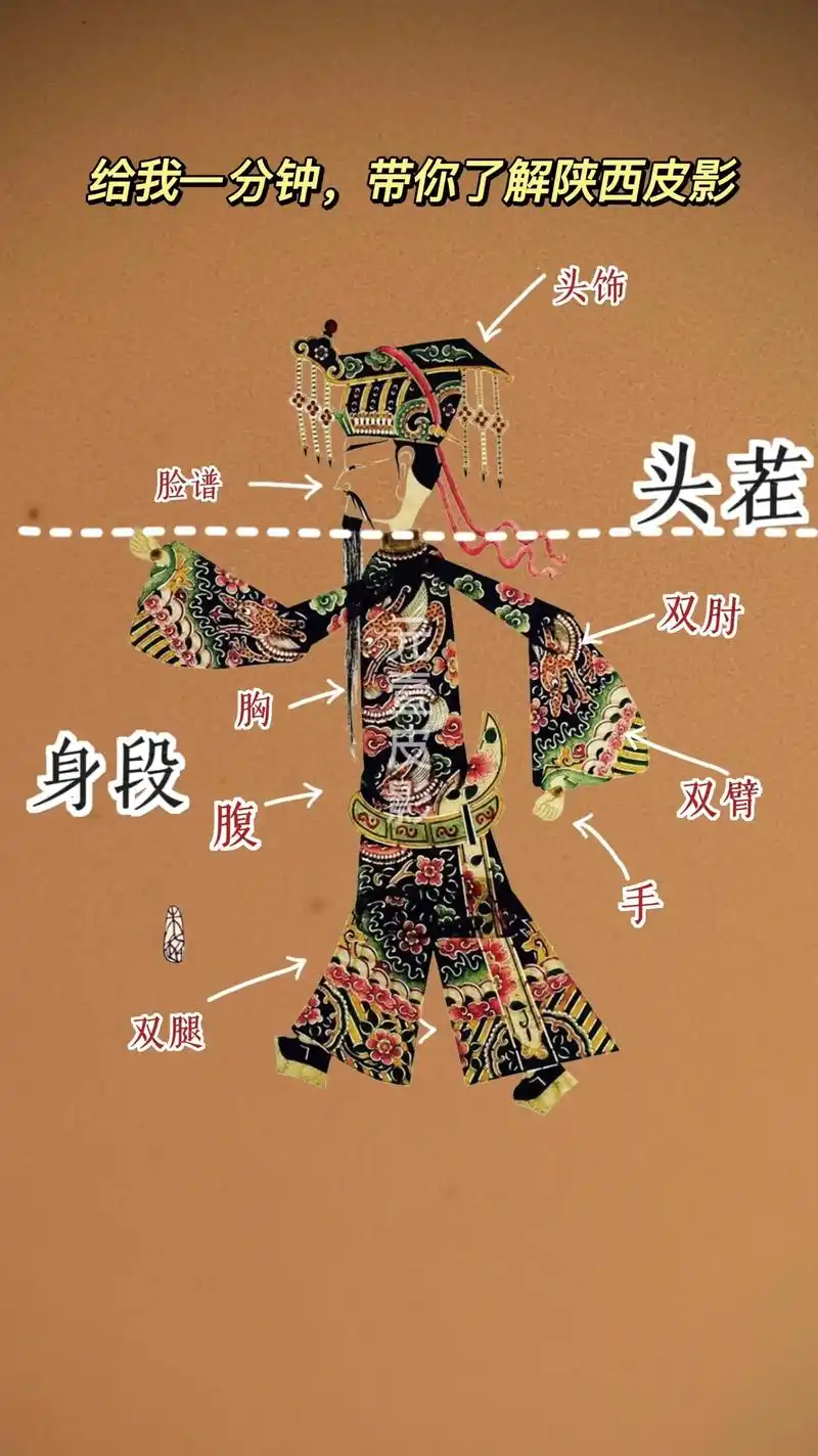 一分钟带你看陕西皮影.你知道陕西皮影人物:生,旦,净,丑的区 - 抖音