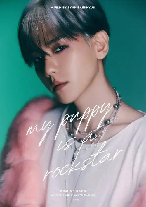 边伯贤solo出道四周年