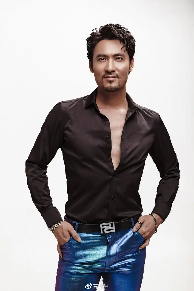 高林生,著名唱作人,代表作《步步高》,《牵挂你的人是我》,《淡定》