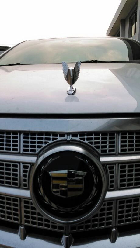 这个飞鹰立标是加还是不加?_凯迪拉克xts论坛_手机汽车之家