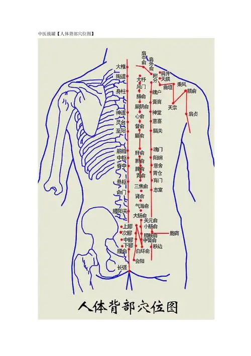 中医拔罐人体背部穴位图_第1页