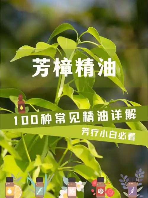 秋季灵魂芳樟精油给自己满满的疼惜