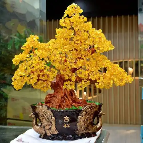 真正的十大招财树(真正的十大招财树植物)