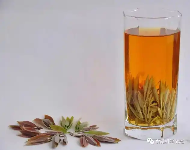 老鹰茶特征性香气成分分析