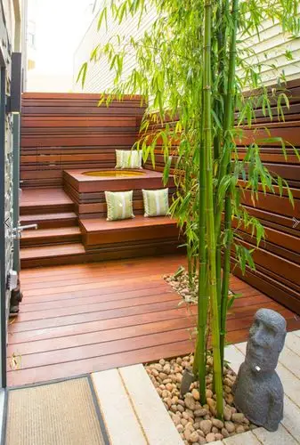 庭院竹子合集:你有竹子,我有院子,竹子在庭院里的n种布置方式