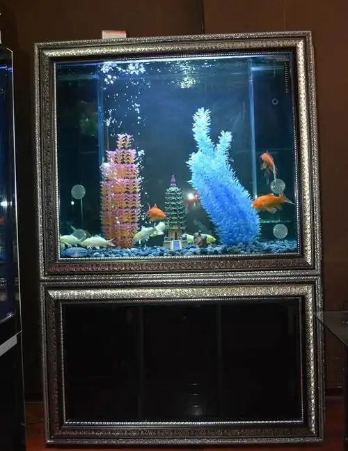 首页 修武在线 修武黄页 水能转运 鱼能聚财 森贝尔生态鱼缸  常年不