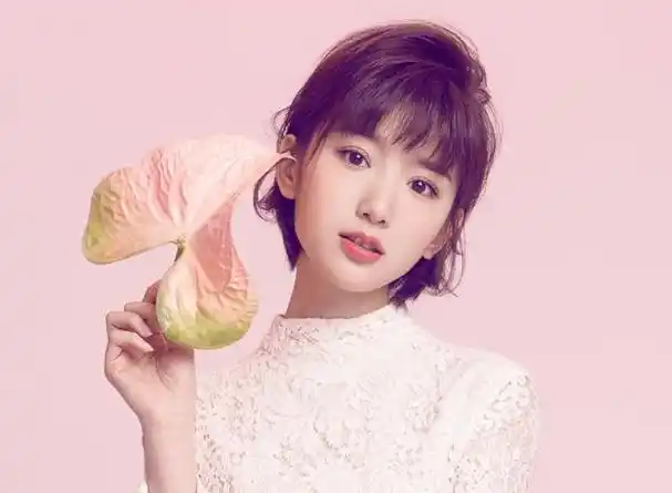 毛晓彤给大家带来的古装发型完全能够吸引眼球,这么好看的风格请给