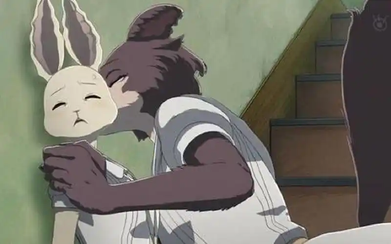 动物狂想曲beastars虹狼兔