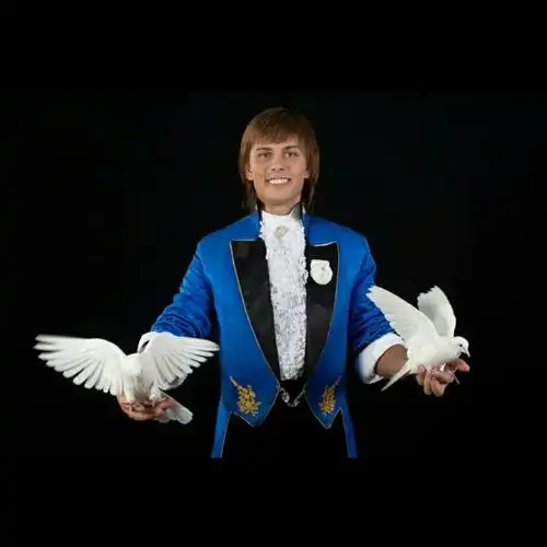 魔术活体道具鸽白鸽子魔术鸟宠物美国白鸽包活包鸟