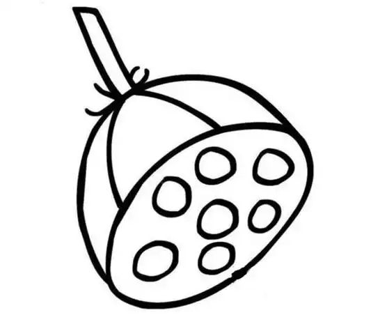 莲子简笔画图片带颜色 莲子图片简单