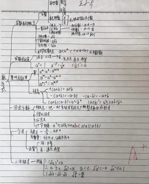 潜龙学校九2九5班数学《数与式》思维导图作品
