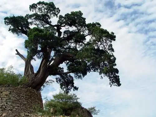 古今文化游 历史韵灵水