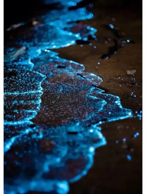 平潭岛丨人生必看的蓝眼泪