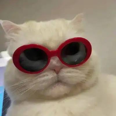 猫咪戴眼镜头像