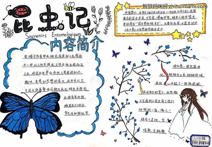 昆虫记手抄报,读书手抄报
