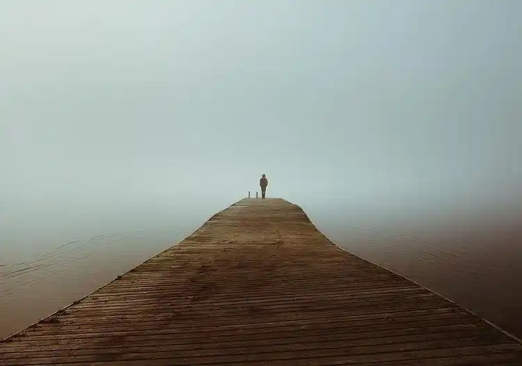 二分构图法玩出新花样