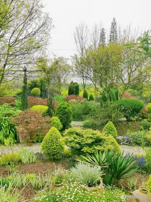 "日前,四川省花协彩叶植物分会会长,成都花乐园花境景观工程有限公司