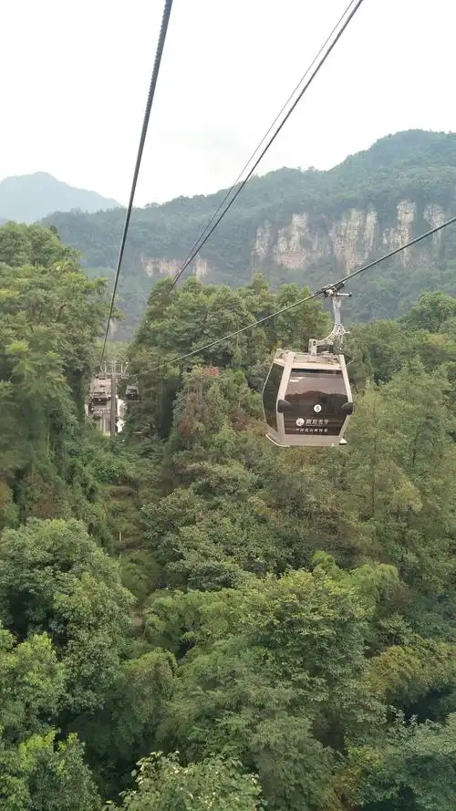其它 游峨眉山万年寺 写美篇   因为预定的酒店房间包含索道票,所以