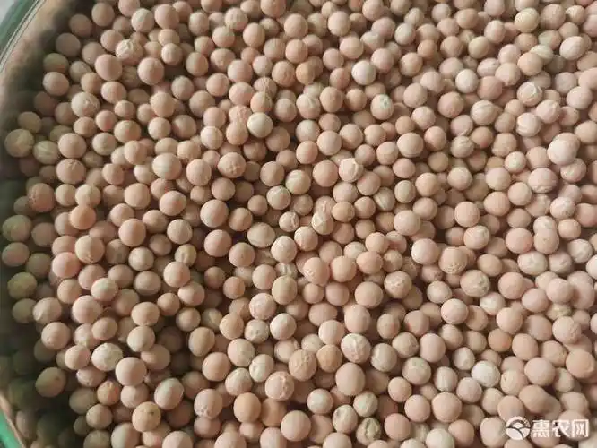 豌豆荚 优质朱砂红豌豆