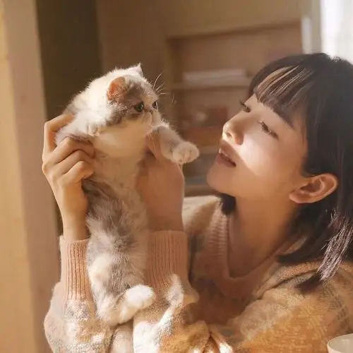 抱猫女头