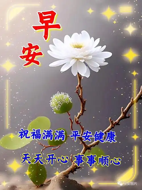 早安吉祥表情包～事事顺心,健康平安|快乐|祈愿|好心情|吉祥如意|平安
