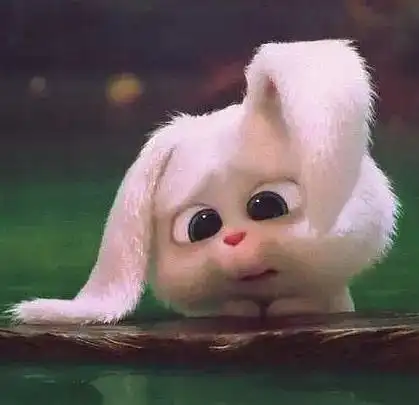 姐妹们罗渽民的卡通兔子头像爱宠大机密snowball