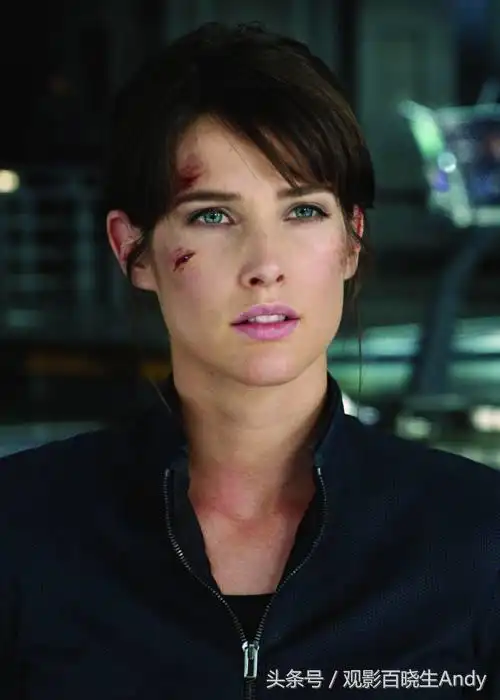 神盾局副局长特工玛利亚希尔