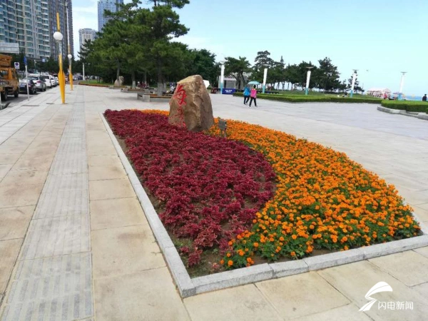 30余万株草花为创城添彩威海高新区城区披上了花衣裳